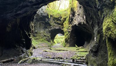 IMG_4285
