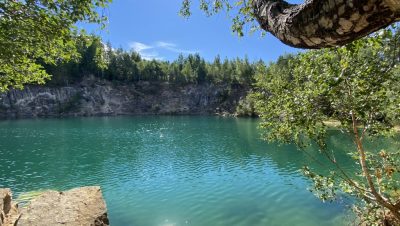 IMG_4354 (Middel)