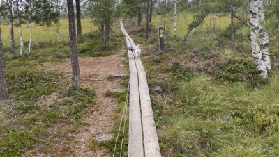 IMG_4443 (Middel)