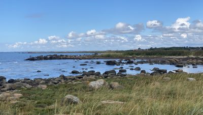 IMG_4520 (Middel)