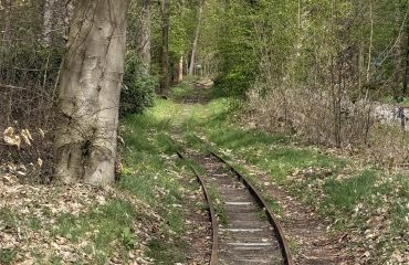 wandeling Rijssen